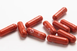 Nhiều nước và vùng lãnh thổ châu Á đặt mua thuốc uống trị COVID-19 của Merck