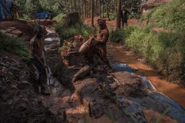 5 người Trung Quốc bị bắt cóc tại mỏ vàng ở CHDC Congo