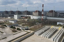 Nga bác cáo buộc đánh cắp điện hạt nhân của Ukraine
