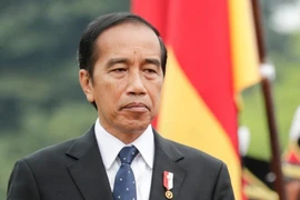 Financial Times: Indonesia xem xét mua dầu của Nga đối phó áp lực giá năng lượng