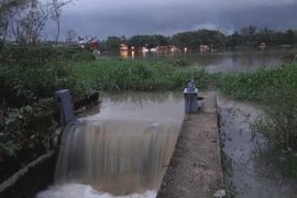 TP.HCM: Đê bao trăm tỉ không ngăn được triều cường