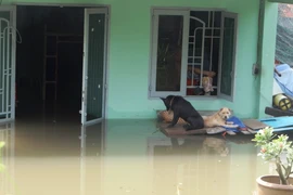 Cảnh ngập ở Sài Gòn chẳng khác chốn thôn quê