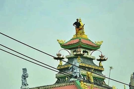  TP.HCM muốn bảo hiểm y tế chi trả việc cai ma túy