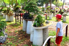 Hội hoa xuân TP.HCM-2018 có gì lạ?