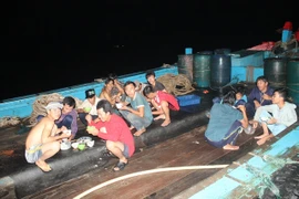 Vừa cập cảng, ngư dân Quảng Bình đã thu cả trăm triệu đồng