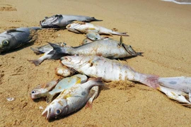 Quảng Trị xin hỗ trợ cho người dân vùng ven biển