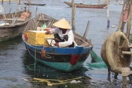 Ảnh hưởng vụ cá chết, Thừa Thiên-Huế đề nghị hỗ trợ 2.000 tấn gạo