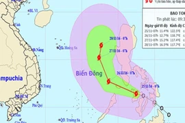 Không cấp phép cho tàu rời cảng đi vào vùng bão