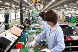 Nhiều người Việt cư trú bất hợp pháp ở Nhật Bản bị bắt