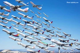 Cục Hàng không nói về dự án đuổi chim 1.000 tỉ đồng
