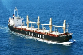 Sau nhiều lận đận, vốn nhà nước tại Vinalines còn bao nhiêu?