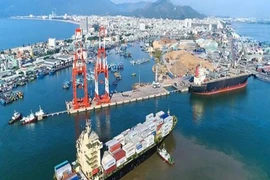 Cảng Quy Nhơn vẫn quyết tâm tăng vốn điều lệ