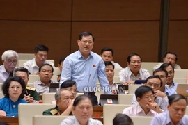 Đại biểu Nguyễn Hữu Cầu: Bộ trưởng GTVT trả lời còn tránh