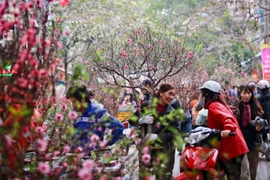Bộ Nội vụ trình phương án nghỉ Tết Âm lịch 2026