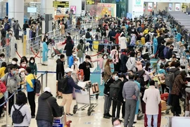 Bộ GTVT yêu cầu lập đoàn kiểm tra việc phục vụ khách ở sân bay