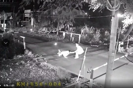 Bộ trưởng GTVT gửi thư khen nhân viên gác chắn dũng cảm cứu người