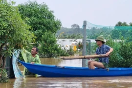 Người dân ven đê Hà Nội: ‘Chắc thoát rồi chú ạ...’