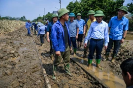 Ngày mai chạy lại chuyến tàu khách Hà Nội - Lào Cai