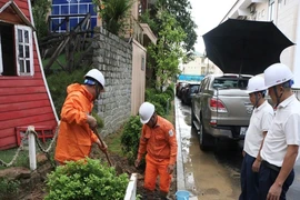 EVNNPC triển khai phương án ứng phó bão số 10