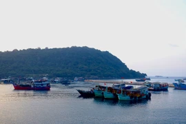 Bổ sung sân bay Thổ Chu vào quy hoạch, An Giang sẽ có 3 sân bay