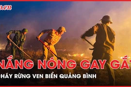 Quảng Bình: Cháy rừng ven biển dưới nắng nóng gay gắt