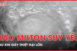 Cập nhật trực tiếp: Siêu bão Milton suy yếu xuống cấp 1, đã có thương vong