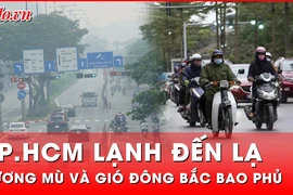 Lý do thời tiết TP.HCM bắt đầu chuyển lạnh, có sương mù vào buổi sáng