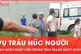 Vụ trâu húc người ở Bình Chánh: Nạn nhân nhập viện trong tình trạng nguy kịch