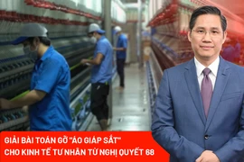 Luật sư Nguyễn Hải Nam: "Chuyển đổi tư duy và nhận thức từ Nghị quyết 68 nhằm tạo nguồn lực cho kinh tế tư nhân bứt phá"