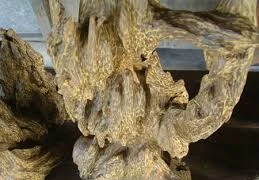 Bất ngờ với bảng giá lâm sản mới tại TP.HCM 
