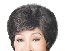 Vận động bán vé cho live show cuối đời của nghệ sĩ Hồng Nga