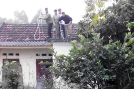 Vây bắt trâu "điên”, 1 người bị húc gãy cả 2 chân