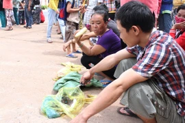 Người dân bỏ việc ra hiện trường theo dõi thực nghiệm vụ thảm sát ở Bình Phước 