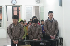 Bán giấy khám sức khỏe giả, thu tiền thật