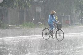 Kiếm ăn trong mưa... 