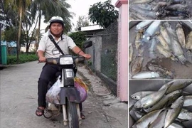 Sao cái nghề cao quý mà xã hội tôn vinh lại trở nên như thế này? 