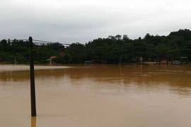 Hà Tĩnh yêu cầu thủy điện Hố Hô ngưng xả nước 