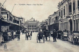Bài học từ cuộc 'thảm sát' chuột ở Hà Nội đầu thế kỷ 20