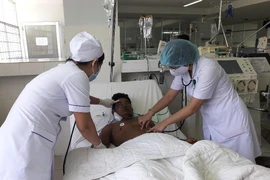 Bị ong vò vẽ đốt 50 mũi, người đàn ông nguy kịch