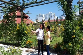 Ngạc nhiên dân Nha Trang kéo đến Vườn Mai để chụp ảnh 