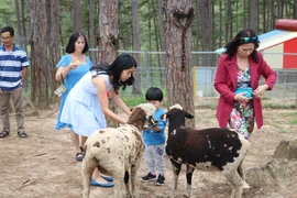 Check in Đà Lạt, ghé Zoo Doo chơi cùng kangaroo 