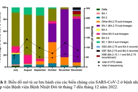 TP.HCM đang kiểm soát tốt COVID-19 