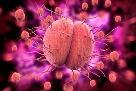 Bệnh lây truyền qua đường tình dục ngày càng tăng