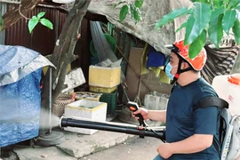 TP.HCM: Số ca mắc sốt xuất huyết và tay chân miệng có dấu hiệu giảm 