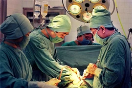 Vĩnh biệt GS Nguyễn Đình Hối, người đặt nền móng mô hình Trường – Viện đầu tiên của Việt Nam 