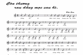 Cho phép phổ biến bài 'Còn thương rau đắng mọc sau hè'