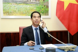 Thứ trưởng Tô Anh Dũng điện đàm với Anh về dịch COVID-19