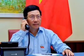 Việt Nam - Ai Cập tìm các giải pháp hợp tác sau dịch COVID-19