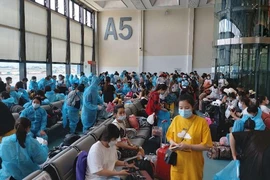 343 công dân Việt Nam từ Đài Loan về nước