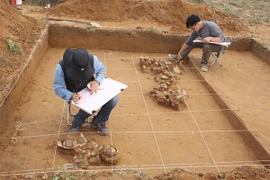 'Đánh thức' cụm di tích Bãi Cọi, trưng bày tại Hà Nội